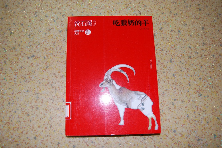 13.JPG